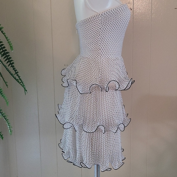 Erin Fetherston Women's Strapless Tier Ruffle Sweet Party Dress - Size 2 - Picture 11 of 12